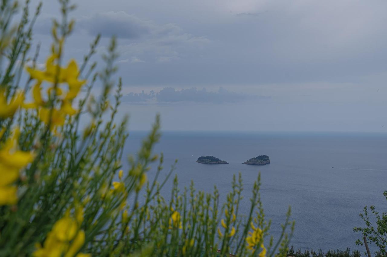 Villa La Pace サンタニェッロ エクステリア 写真