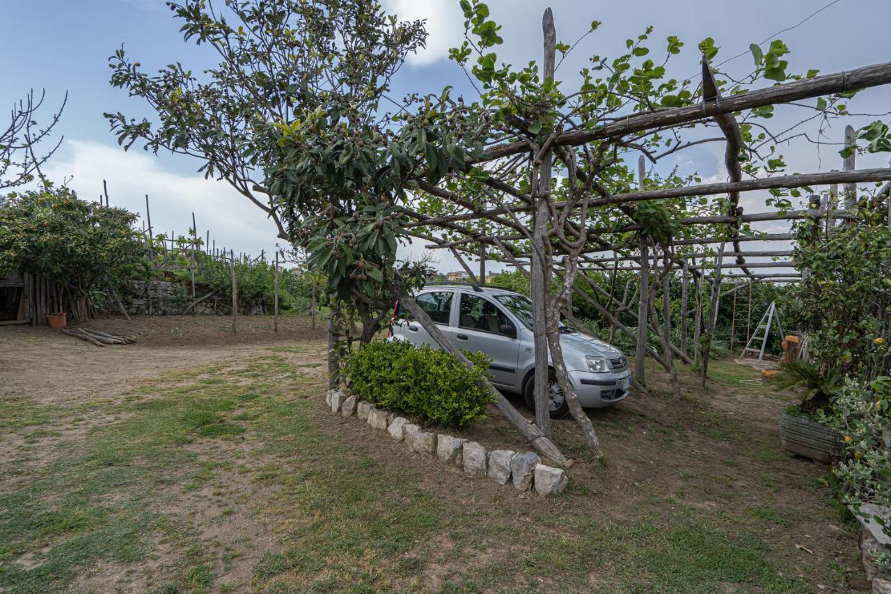 Villa La Pace サンタニェッロ エクステリア 写真